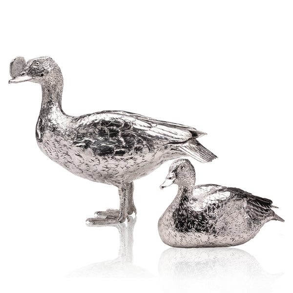 Knob Billed Duck Pair in Silver
