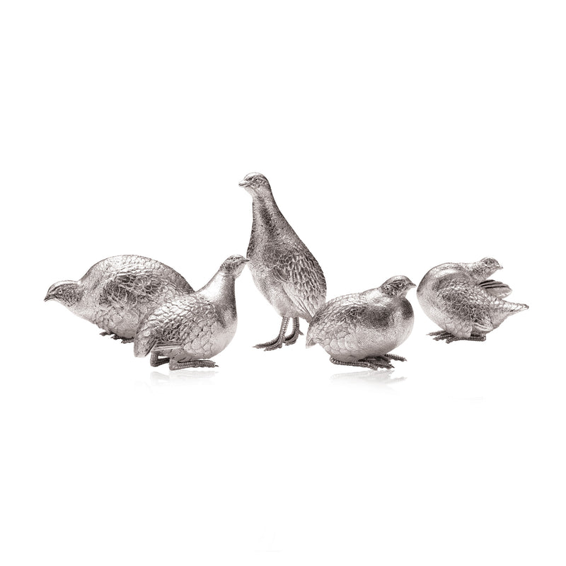 Grey Partridge Covey (set of 5 birds) Sculptures in Sterling Silver - Small