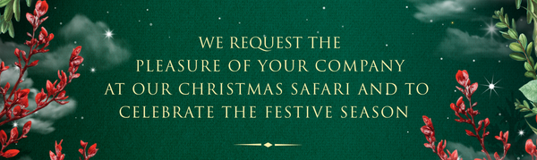 Windhoek Christmas Safari 2025