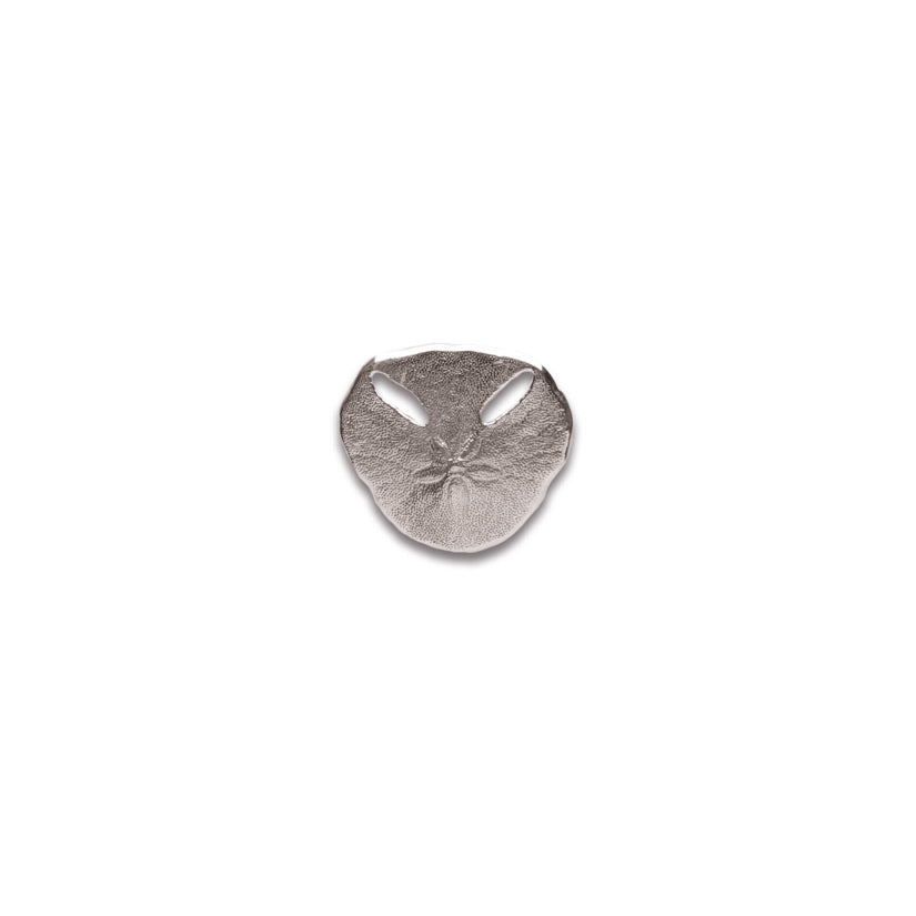 Pansy Shell Paperweight No. 5