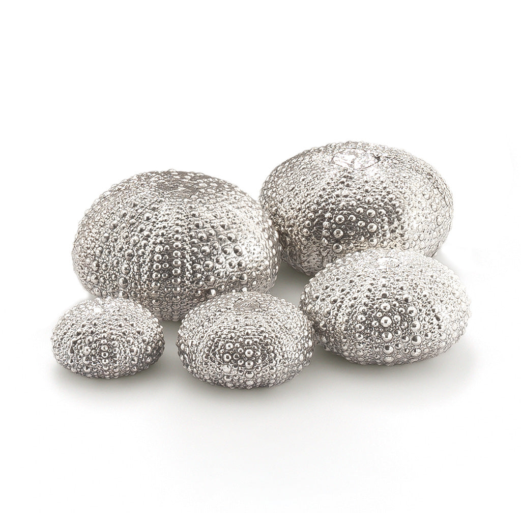 Sea Urchin Sculpture Family Small