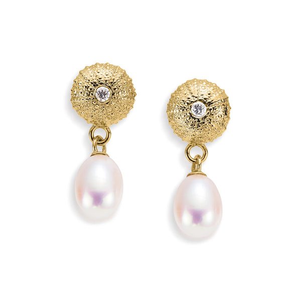 Sea Urchin Treasure Earrings in 18ct Gold