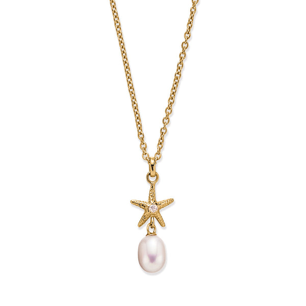 Starfish necklace gold outlet