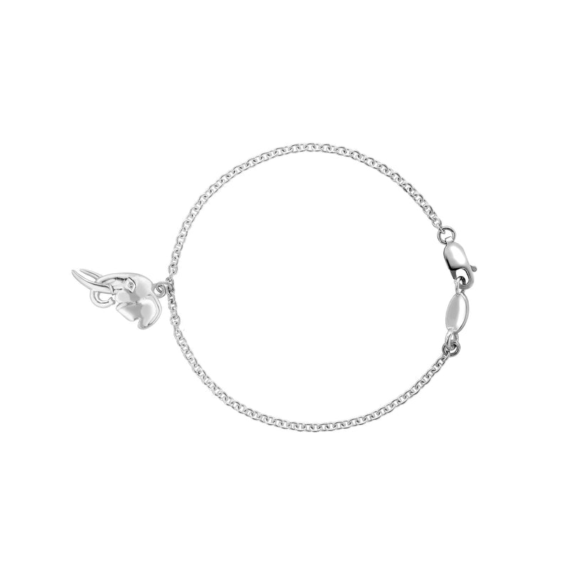 TUSK Charm Bracelet in Silver