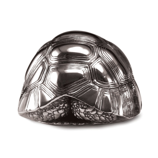 Tortoise Female in Silver - No. 1